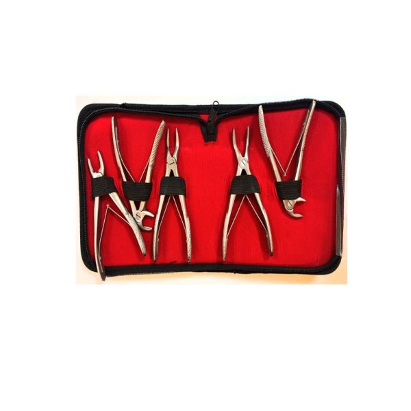 FORCEPS P/NIÑOS  * 5